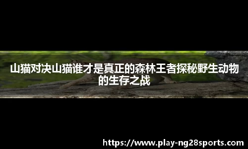 山猫对决山猫谁才是真正的森林王者探秘野生动物的生存之战